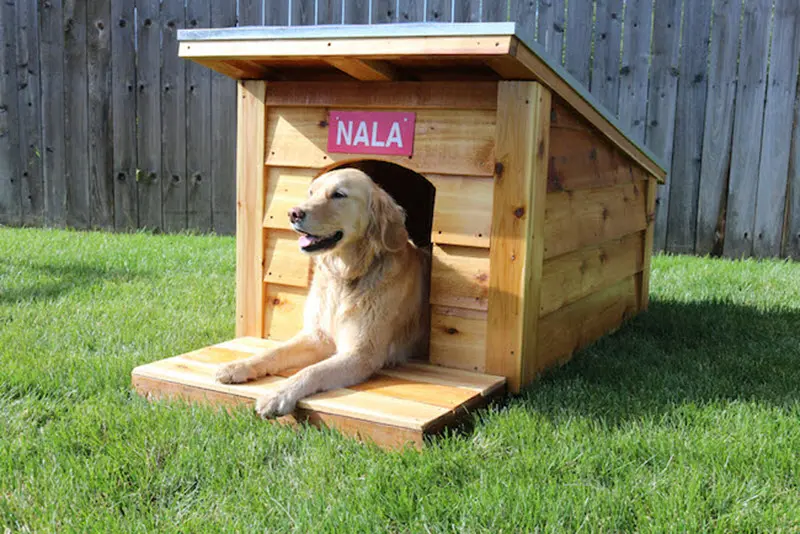 How to Start Your Own Business Building Small Quality Dog Houses